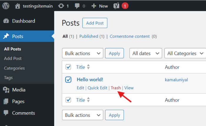 WordPress Posts/Pages