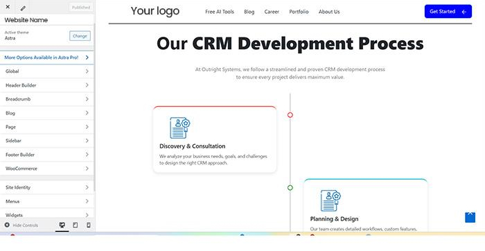 Figure: The above-mentioned figure displays the customization panel showcasing WooCommerce store and theme layout.